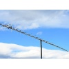 432 MHz CROSS 42 elements 18.2dBi Yagi Antenna for EME & DX 70cmCROSS42DX (AA)