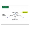 PST-1524FP Multiband wire dipole